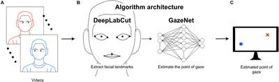 A Deep Learning-Based Approach to Video-Based Eye Tracking for Human Psychophysics